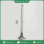 Factory supply QSX15 Diesel Engine Intake Exhaust Valve 4101454