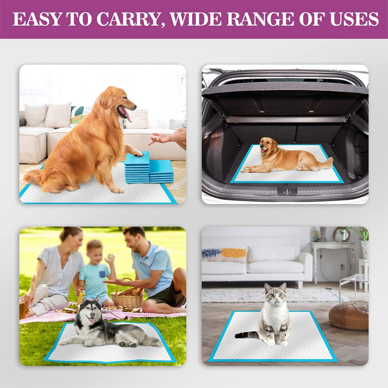 Customized Label Puppy Training Pads with Breakable Design and Leak-proof Function