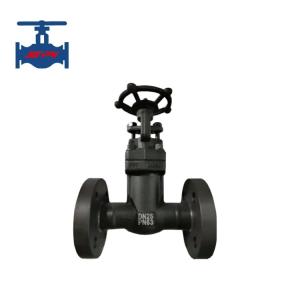 China API 602 Standard Class 150 SS304 Bellow Seal A105 Forged Gate Valve wholesale