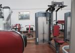 Steel Tube Pectoral Fly Rear Deltoid Full Gym Equipment