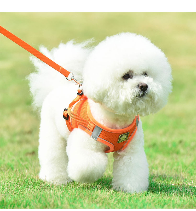 New Product Ideas 2021 Custom Waterproof Breathable Mesh Dog Harness And Leash Set