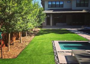 China BSCI No Toxic Chemicals Artificial Grass Around Pool For Patio wholesale