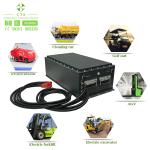 380*210*245mm 48V 300ah Lifepo4 Batteries for Customize Golf Cart from CTS