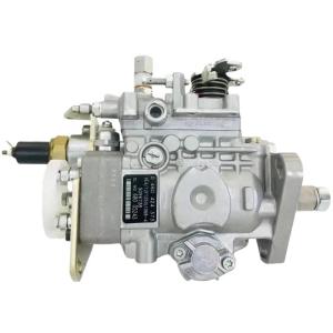 China Diesel Injection Pump 0460424373 5096738 JX60 JX95 for Machinery Repair Shops wholesale