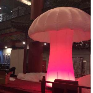 China Customized chinese new year inflatables mushroom wholesale