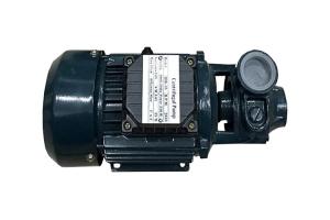China Household Electric Motor Water Pump 1HP With Cast Iron Body ,  0.75KW Output Power wholesale