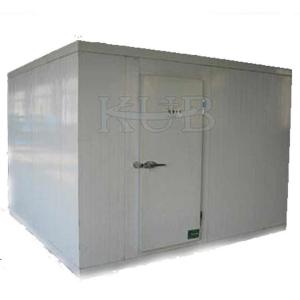 China cold food storage Meat storage cold storage 55 cubic meters temperature -20 degrees cold storage price wholesale