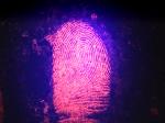 C061 Red fluorescent small particle reagent