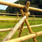 Raw Bamboo Pole 100% Natural for Gardening Construction and Decoration Top
