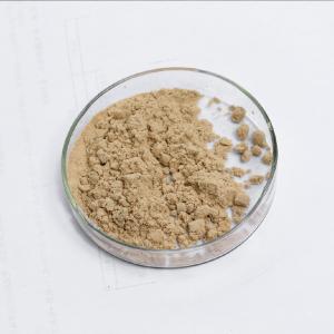 China Type 5 Phosphodiesterase 20000U/G~50000U/G Phosphodiesterase 5 Enzyme wholesale