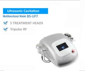 China AC110V / AC220V Cryolipolysis Fat Freeze Slimming Machine , Cellulite Removal Machine wholesale