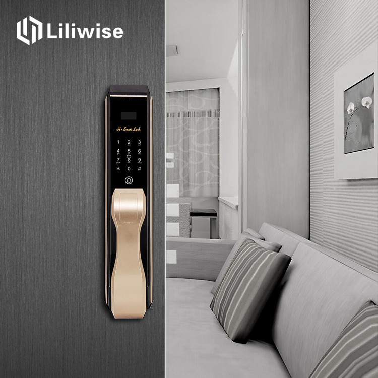 Password IC Card Electronic Front Door Lock , Biometric Fingerprint Door Lock