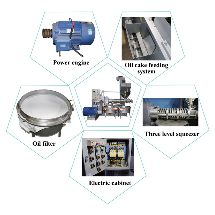 Industrial Screw Oil Expeller Equipment Alloy Material High Oil Rate