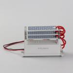DIY Portable Ozone Generator 15G AC220V
