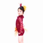 Asymmetrical Jazz Dress Costumes One Sleeve Sequin Lace Dance Leotards Spandex