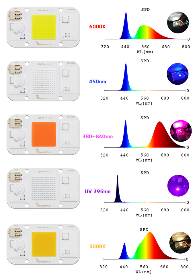 50W 395nm UV LED Chips 110V 220V High Lumen No Flicker Energy Saving