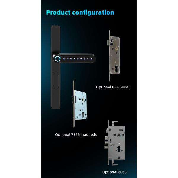 Digital Ttlock Digital Door Lock Black Password Card With IC Card