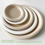 Compostable Sugarcane Bagasse Paper Round Plates 9 Inch 9" Greaseproof And