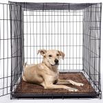 Household 2.5cm Non Slip Dog Crate Mat SGS Chenille Fiber