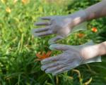 Ambidextrous Food Grade Disposable TPE Gloves