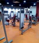 Hot Selling High Quality Commercial Gym Equipment Kickback Glute Machine