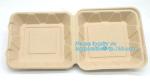 Compartment hinged container sugarcane bassage pulp food serving box 750ml