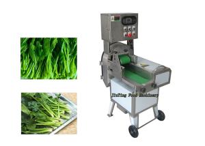China 800KG/H Vegetable Processing Equipment Stainless Steel Coconut Slicer Cutting Machine wholesale