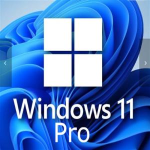 China Windows 11 Professional 1 User Key For Small Businesses Enhanced wholesale