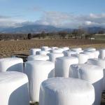 Green Pe Anti Uv Pe Bale Silage Stretch Film 25mic 1800m For Corn Stalk