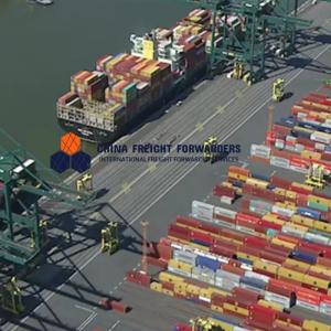 China Custom Warehousing Sea Freight Forwarder International Shipping China To South America wholesale