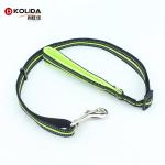 Fashionable Nylon Dog Leash , Reflective Waterproof Pet Dog Traction Belt