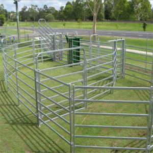 China Welded Side Iron Hot Dip Galvanized Steel Farm Gate Easily Assembled wholesale