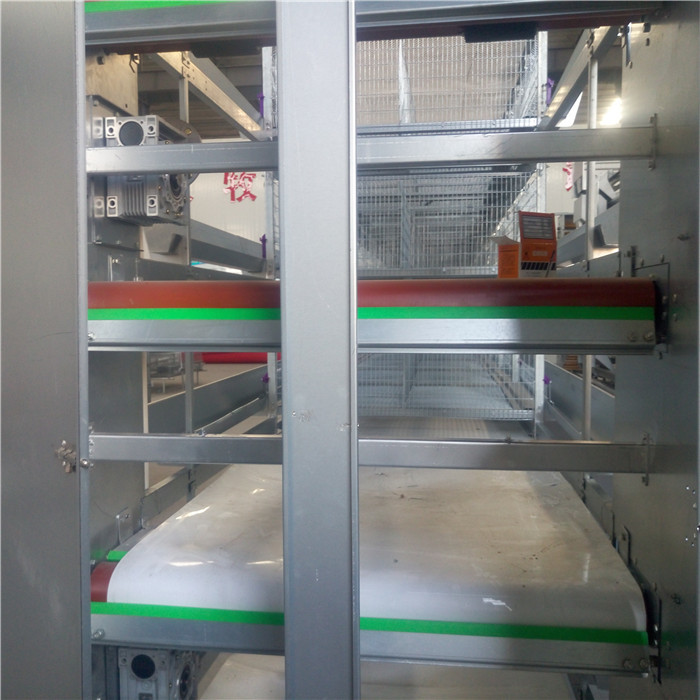 Mechanical Livestock Farming Equipment , Manure Removal Battery Cage System