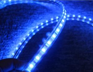 China 5050 AC strip lights 220V 60LED/M blue lighting on sale