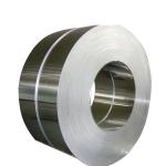 Hot Dipped Zinc Galvanized Steel Coil 2205 Color Coated S350 Strips
