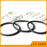 Free NBR Injector Oil Seal Ring EPDM FKM Nitrile Rubber O Rings