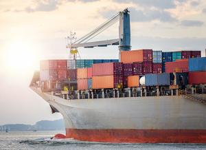 China CMA MSK MSC YML International FBA Shipping Transport From China To North American wholesale
