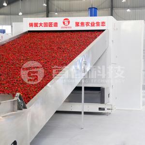 China Shouchuang Heat Pump Belt Type Chili Red Pepper Drying Equipment High Quality on sale