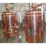 200L Profession Craft Beer Brewing Equipment for Other Brewing Requirements
