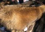 100% Real Natural Raccoon Fur Pelt Detachable Lush Soft For Clothes Hood
