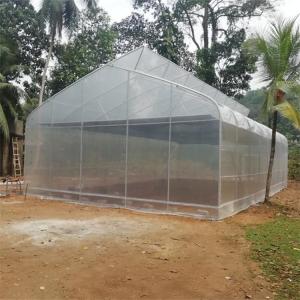 China Cheap Good Price Plastic Film Tropical Tunnel House Single-Span Sawtooth Top Vent Greenhouse For Sale wholesale