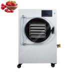 10kg home use freeze dryer/ freeze dryer machine for fruit/freeze dryer for milk