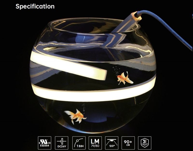 24V LED Swimming Pool Neon Lights IP68 Waterproof Salt Resistant Acid And Alkali Resistant