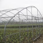 Steel Frame Tunnel Plastic Greenhouse / PE Film Plastic Tomato Greenhouse