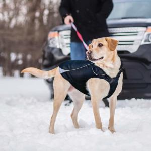 China  				Waterproof Dog Jacket, Soft Fleece Lined Dog Coat for Winter 	         on sale