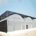 PO Single Layer Greenhouse for Agriculture Boost Agricultural Production