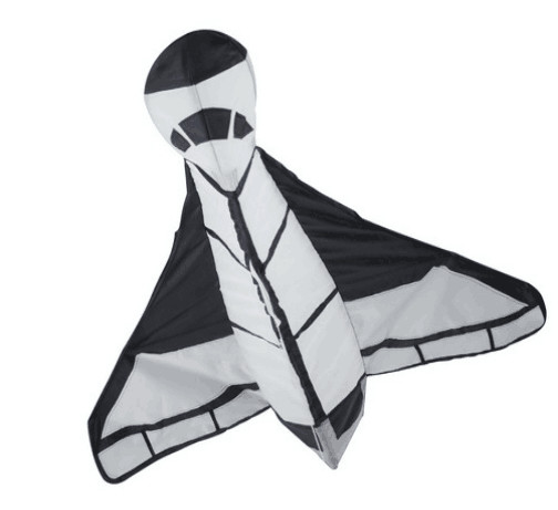 Kids Sports 3D Kite For Autumn Season Good Performance Oem / Odm Service Acceptable