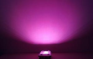 China Super bright DMX512 100W RGB LED flood lights outdoor for garden , Park wholesale