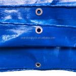Tarpaulin Sheet Pakistan Heavy Duty Tarpaulin 200Gsm Woven Green for Outdoor