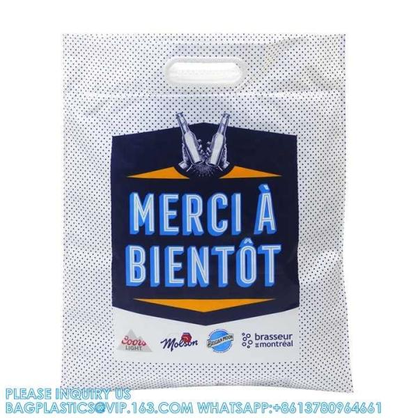 Insulation Bags Ex-Factory Price Custom Printed Popular Plastic Aluminum Foil